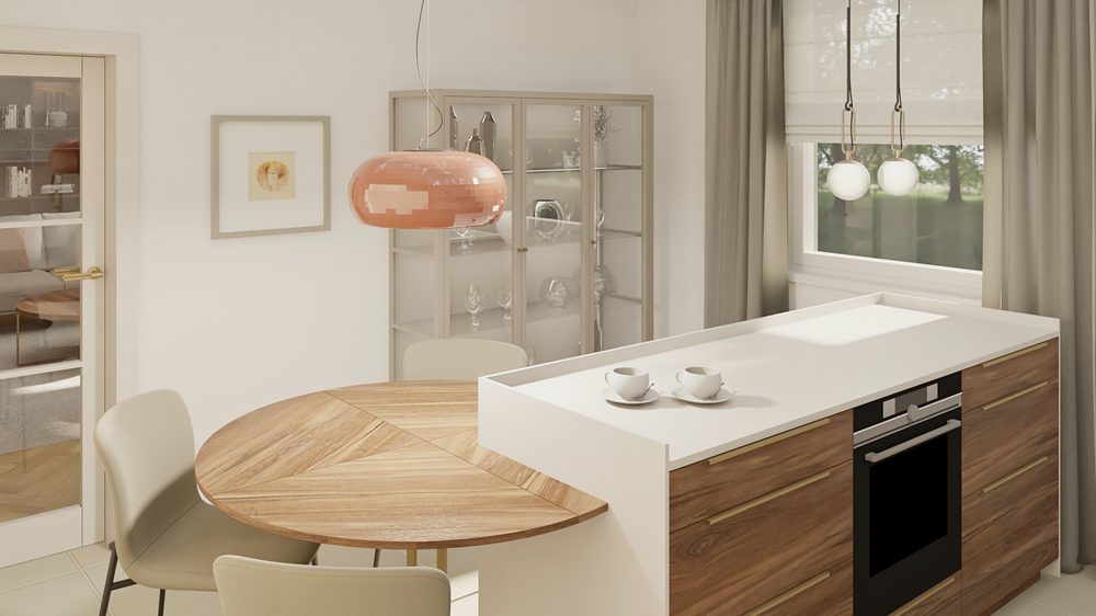House Renovation Design — visualization 5